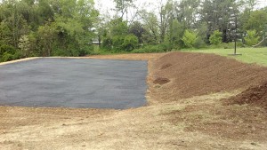 Horse Pad