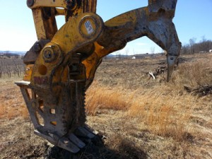Stump Shear