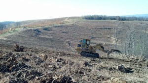 Land clearing.