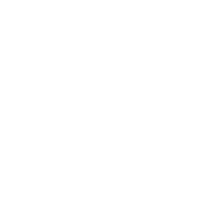 Algers Excavation White Logo.