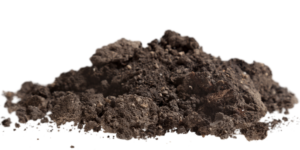 Pile of dirt.