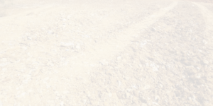 Dirt background.